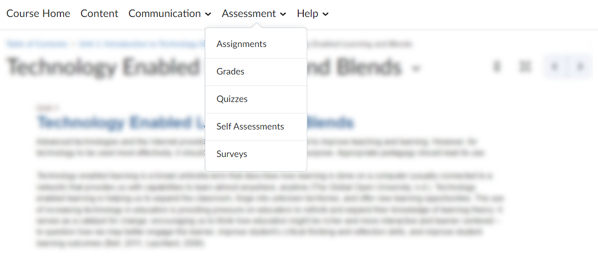 Assessments Menu Screen Capture